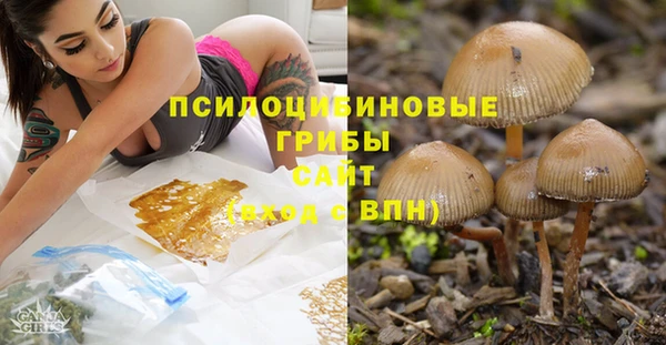 PSILOCYBIN Осташков